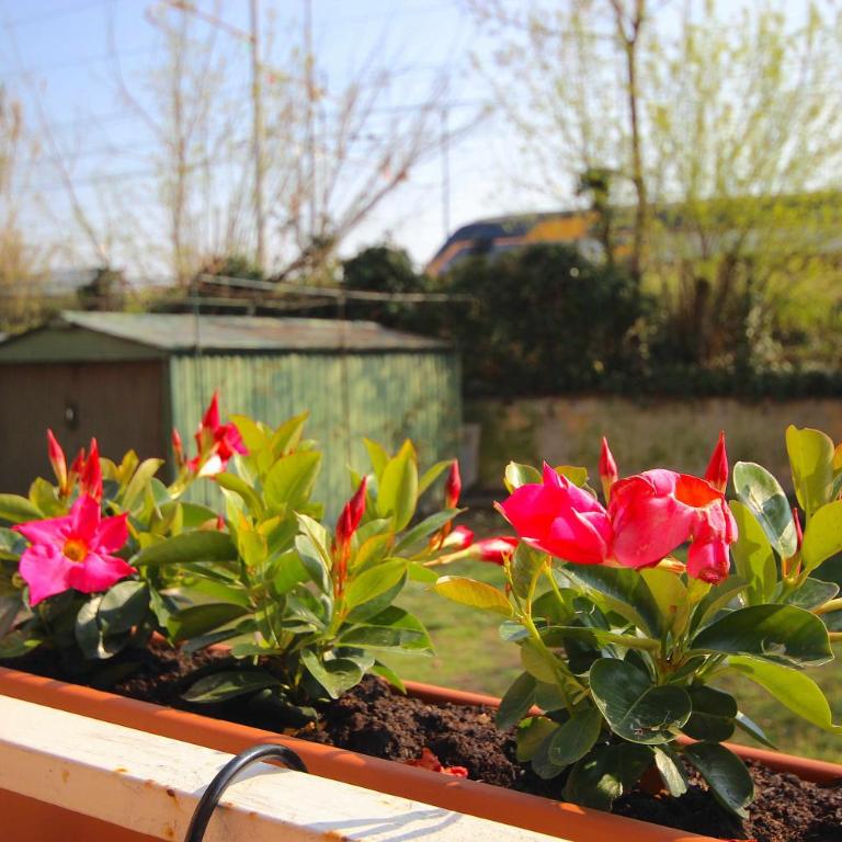 Case VR Holiday - La Maison du Coq - Appartamento su 2 Livelli - 46