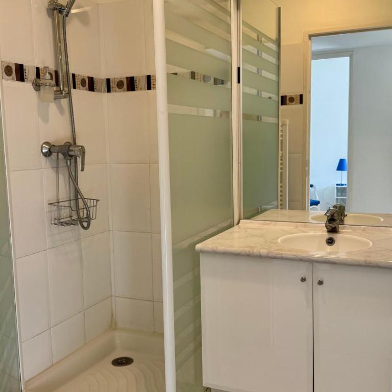 Spacious Luxury apt, 12 min walk to Croisette beach and Conf Centre - Appartement 3 Chambres - 24