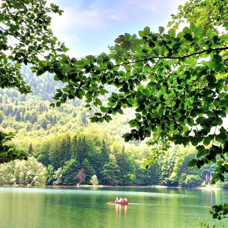 Etno smjestaj Bjelasica - Koliba sa 2 Spavaće Sobe - 52