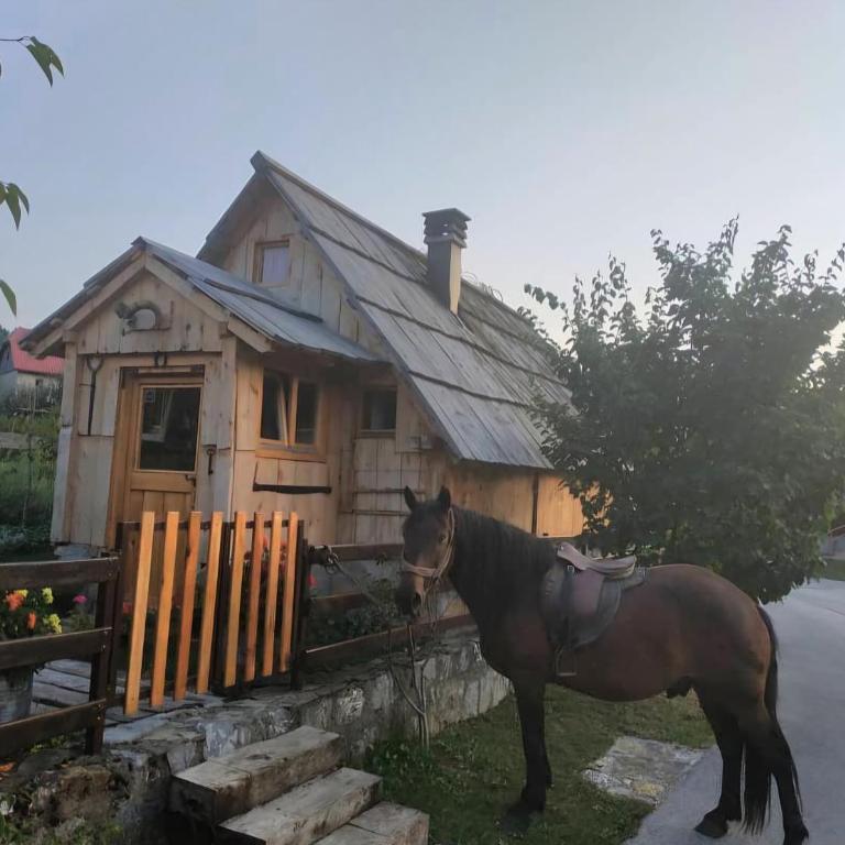 Etno smjestaj Bjelasica - Koliba sa 2 Spavaće Sobe - 43