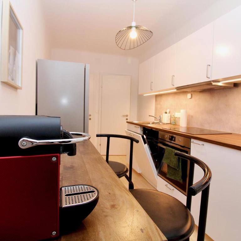 Graz central Penthouse Style Apt - Apartment mit 2 Schlafzimmern - 14