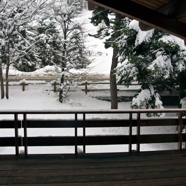 Chalet Tradizionale con bel giardino - Chalet - 17