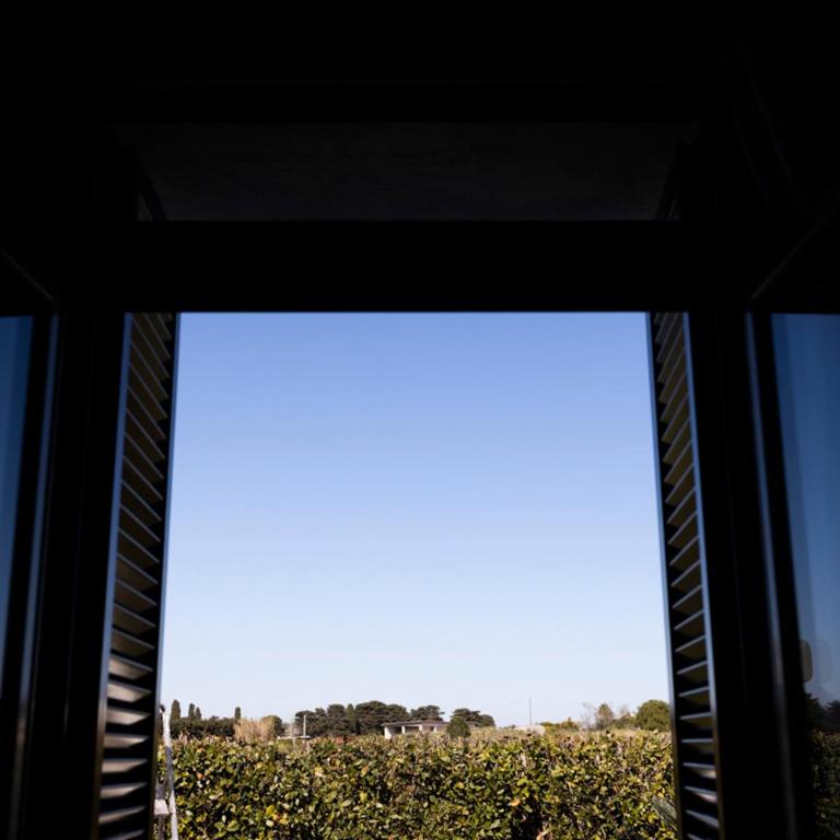 Masseria Fabrizio - Camera Tripla - 1