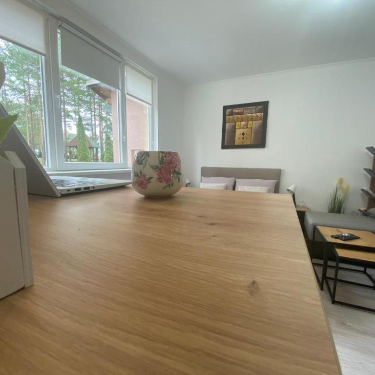 Apartmani Krčmarica 10 - Apartman sa 1 Spavaćom Sobom - 6