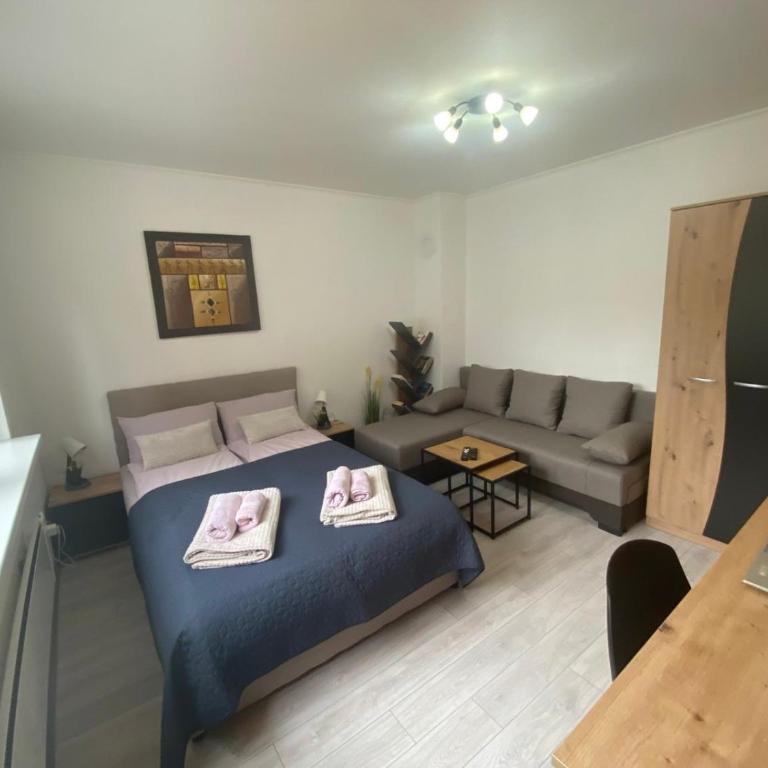 Apartmani Krčmarica 10 - Apartman sa 1 Spavaćom Sobom - 10