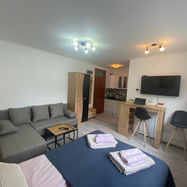Apartmani Krčmarica 10 - Apartman sa 1 Spavaćom Sobom - 2