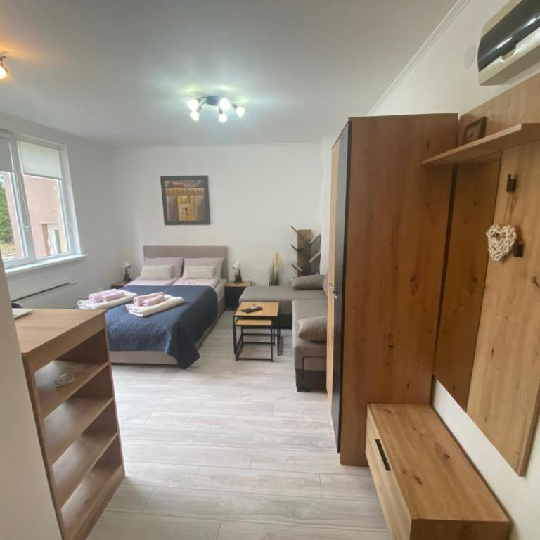 Apartmani Krčmarica 10 - Apartman sa 1 Spavaćom Sobom - 12