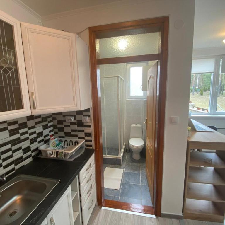 Apartmani Krčmarica 10 - Apartman sa 1 Spavaćom Sobom - 7