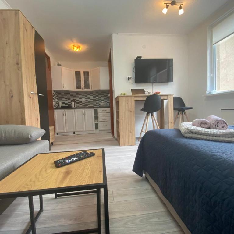 Apartmani Krčmarica 10 - Apartman sa 1 Spavaćom Sobom - 16