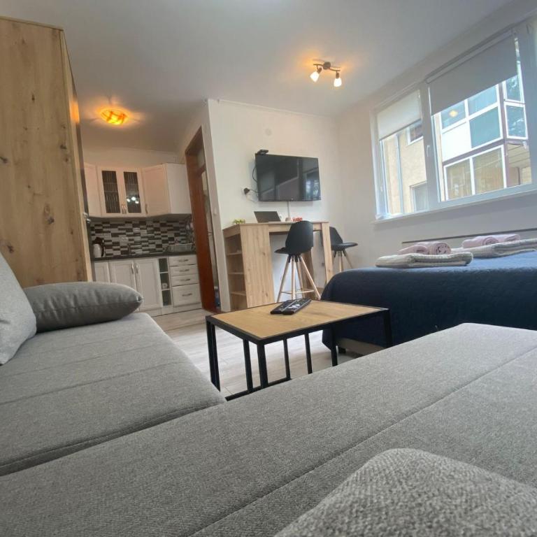 Apartmani Krčmarica 10 - Apartman sa 1 Spavaćom Sobom - 18