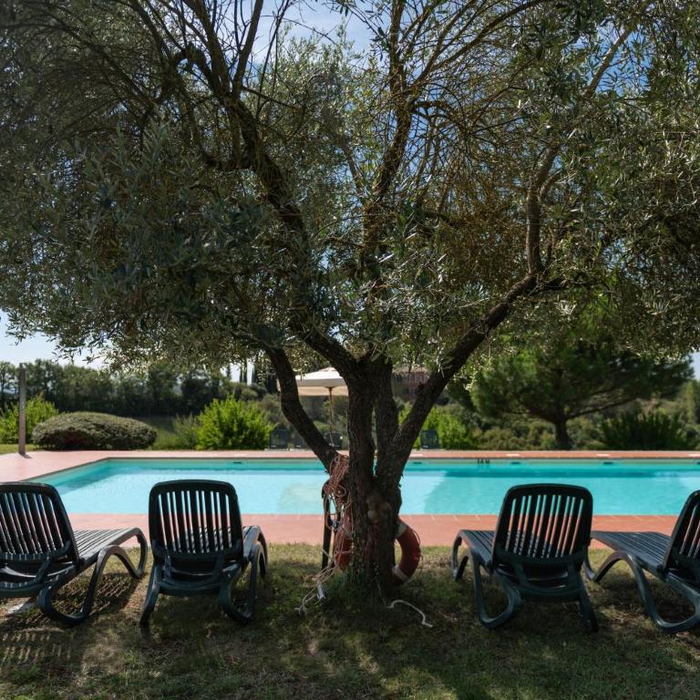 Green Hill Apartment In Tuscan Countryside - Appartamento - 8