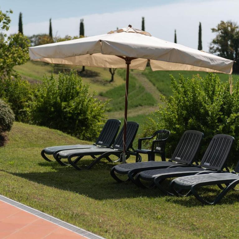 Green Hill Apartment In Tuscan Countryside - Appartamento - 5