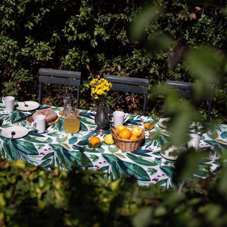 Green Hill Apartment In Tuscan Countryside - Appartamento - 15