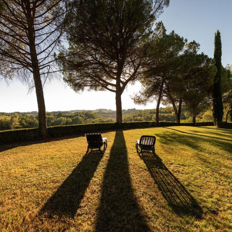 Green Hill Apartment In Tuscan Countryside - Appartamento - 11