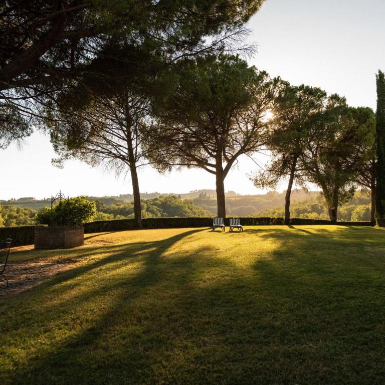 Green Hill Apartment In Tuscan Countryside - Appartamento - 14