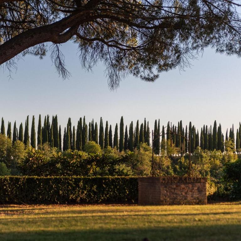 Green Hill Apartment In Tuscan Countryside - Appartamento - 21