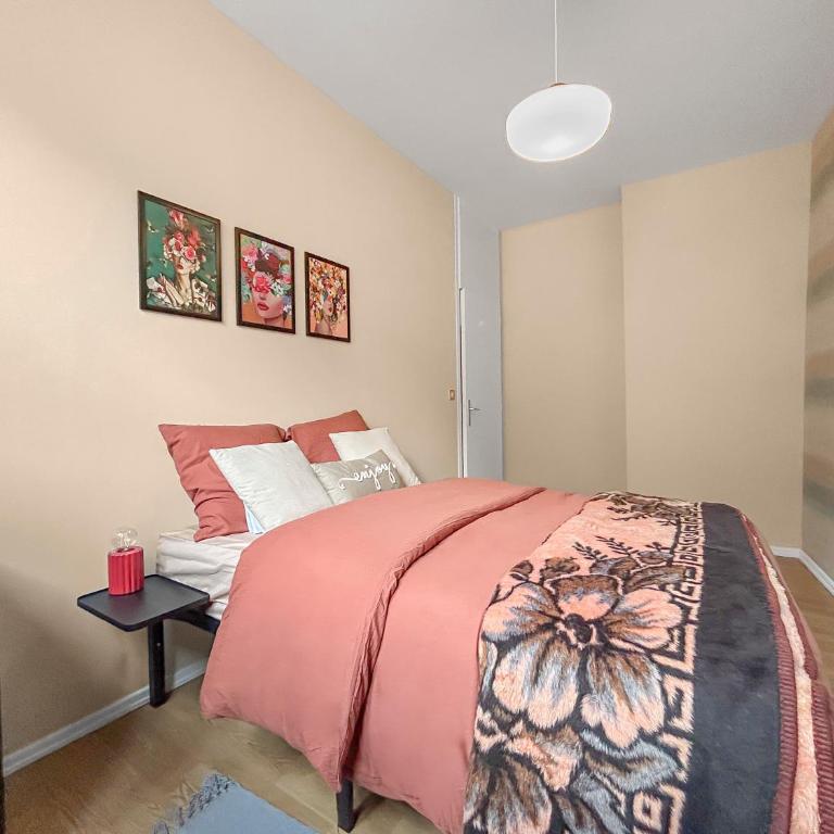 Lumineux & Cosy, Hyper Centre Metz - Apartment mit 1 Schlafzimmer - 12