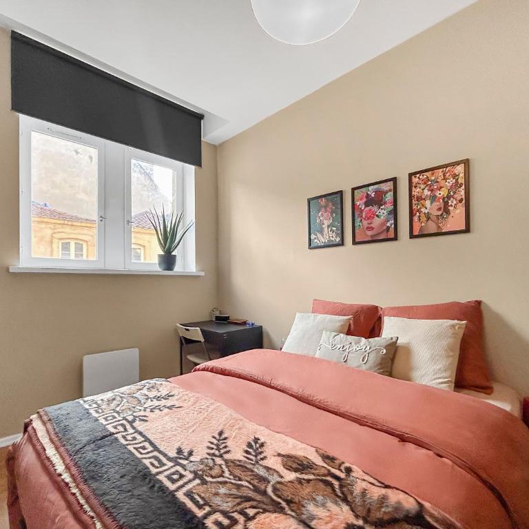 Lumineux & Cosy, Hyper Centre Metz - Apartment mit 1 Schlafzimmer - 11