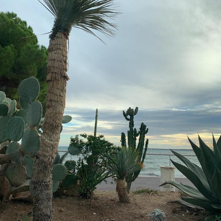 NEW renovated spacious 2 BR Apt AC 300m from Beach - Appartamento - 33
