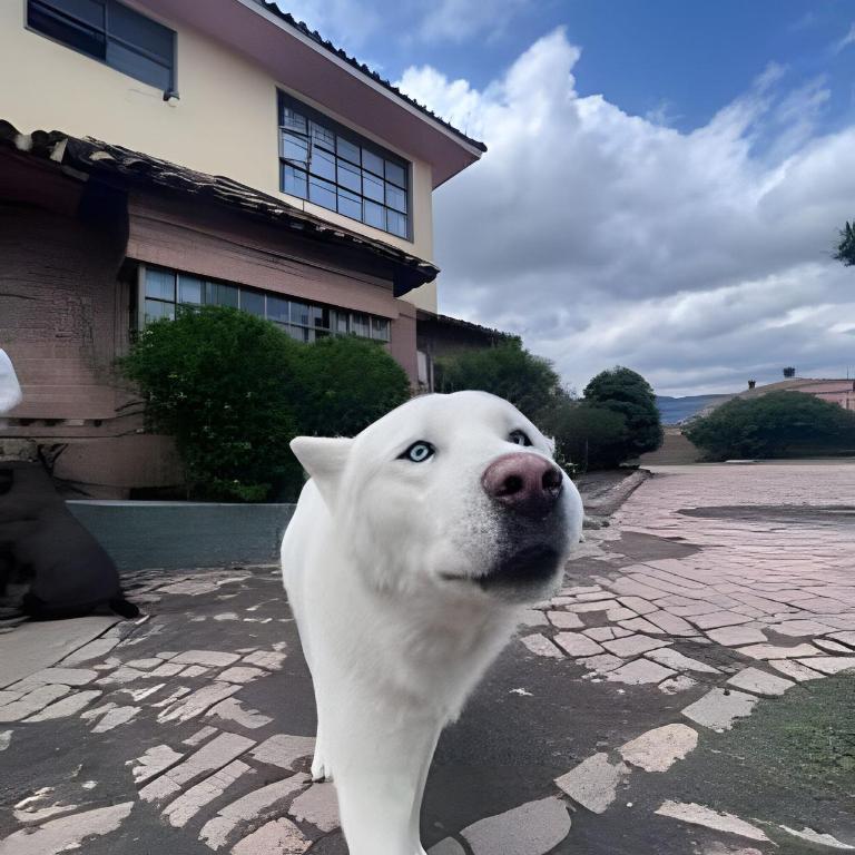 Finca Moralia - Deluxe Double Room - 19