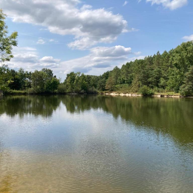 Lake House 10 mins from Bergerac - Ferienhaus - 4