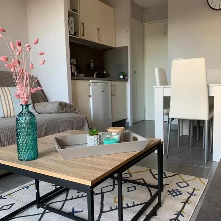 Cosy Blue Classé 2 étoiles Piscine Parking Clim Terrasse - Appartement 1 Chambre - 7