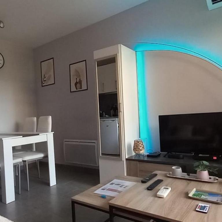Cosy Blue Classé 2 étoiles Piscine Parking Clim Terrasse - Appartement 1 Chambre - 15