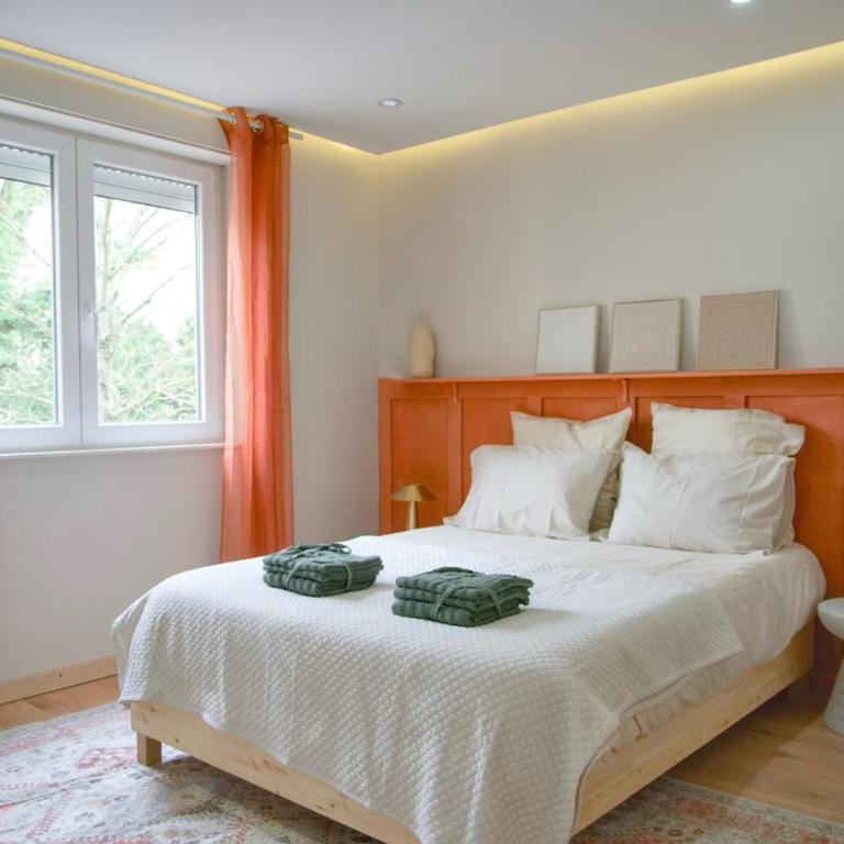 Cosy T2 proche du centre de Mulhouse - Appartamento con 1 Camera da Letto - 7