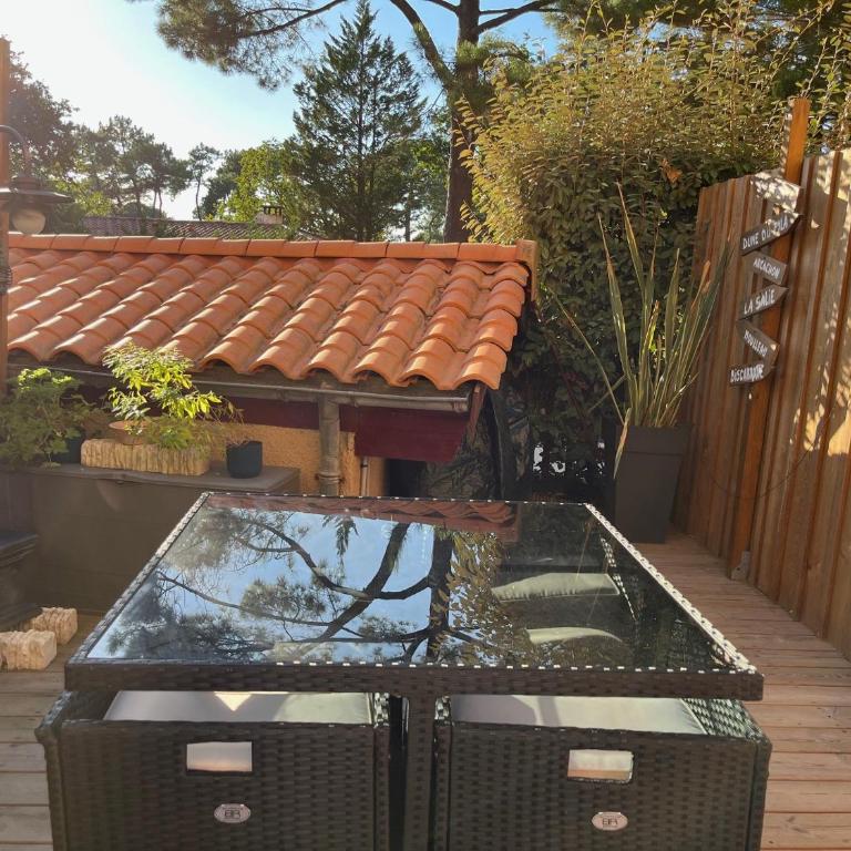 Pyla sur Mer - Appartement terrasse sous les pins - 200m de la plage - One-Bedroom Apartment - 9