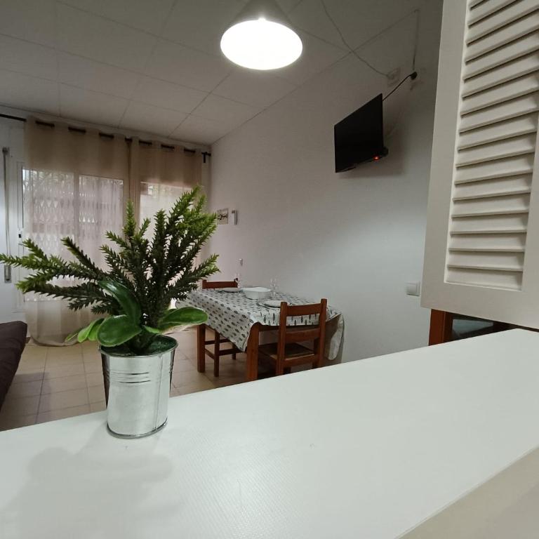 APCOSTAS Els Pins Lotus - Apartamento - Planta baja - 3
