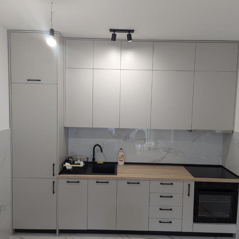Podgorica Zabjelo titex 3 - Apartman sa 1 Spavaćom Sobom - 4
