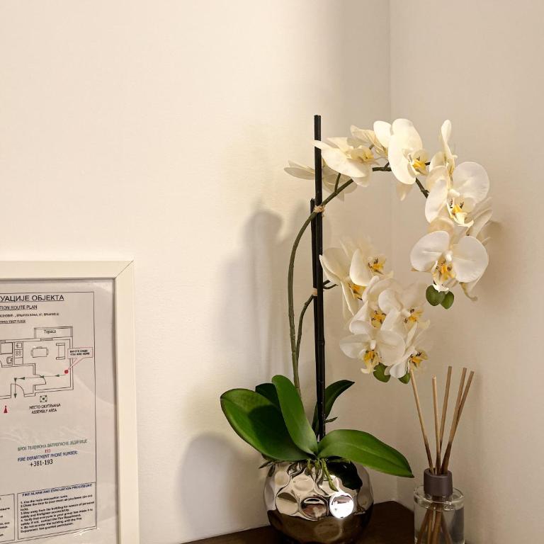 Mars apartman - One-Bedroom Apartment - 10