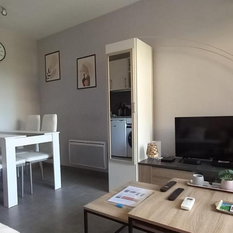 Cosy Blue Classé 2 étoiles Piscine Parking Clim Terrasse - Appartement 1 Chambre - 14