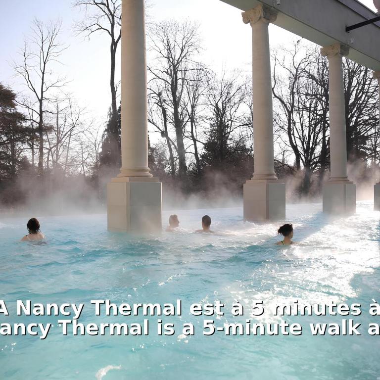Nancy Thermal - Appartement 1 Chambre - 30