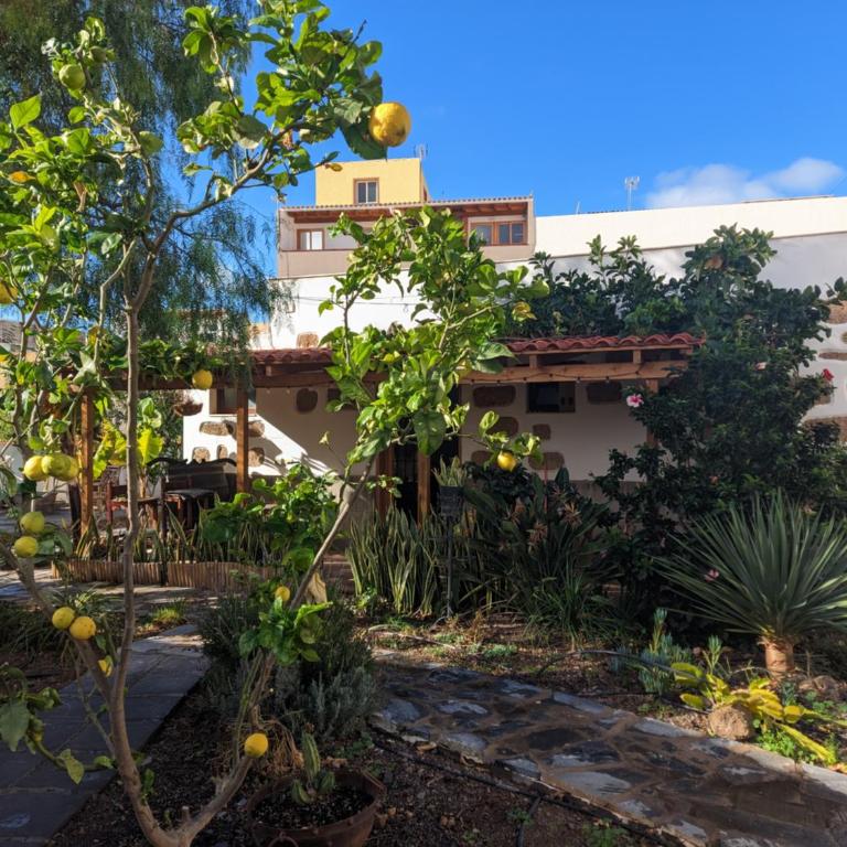 Casa Roberta - One-Bedroom Apartment - 2