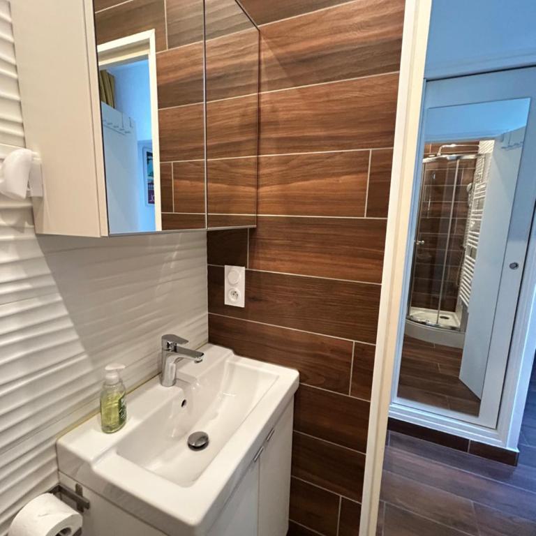 Agréable Studio Rénové avec place de parking - Appartement 1 Chambre - 6