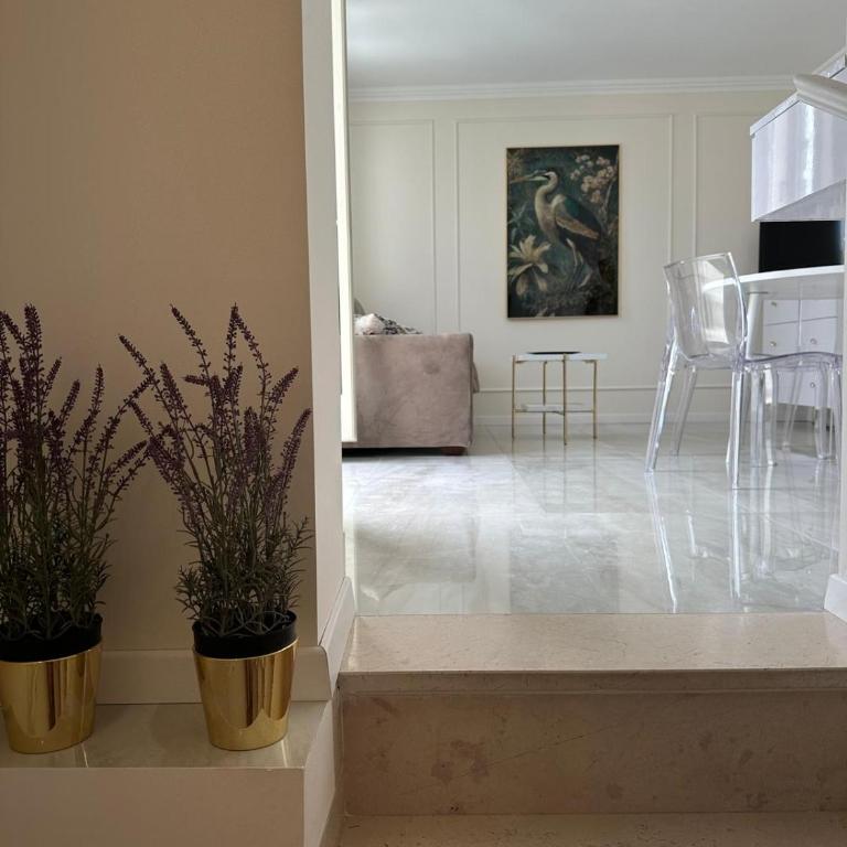 APARTAMENT MARIA - Julia Vieste - One-Bedroom Apartment - 2