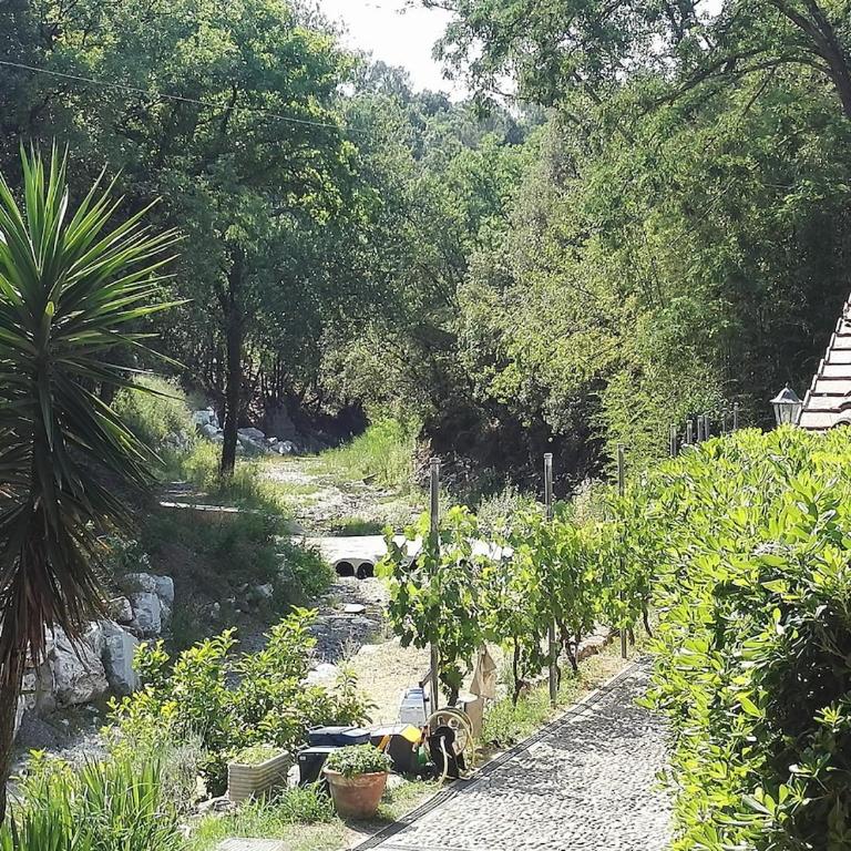 Ex water mill Le Ferriere old stone house 15th century - Appartamento con 2 Camere da Letto - 27