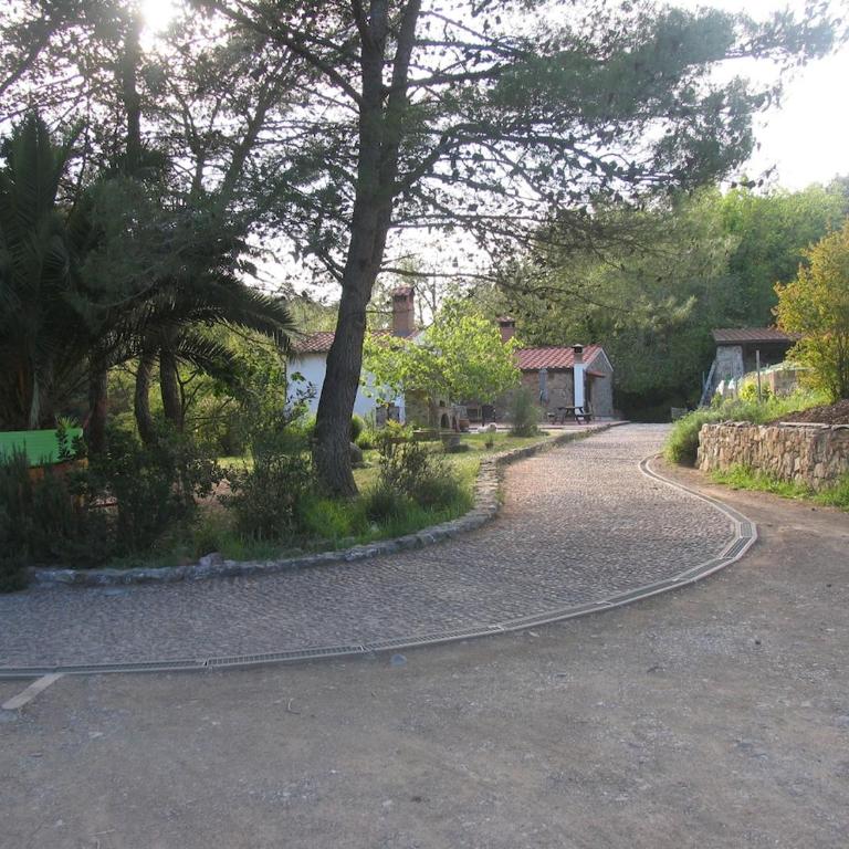 Ex water mill Le Ferriere old stone house 15th century - Appartamento con 2 Camere da Letto - 50