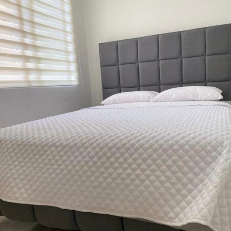 Elit - One-Bedroom Apartment - 4