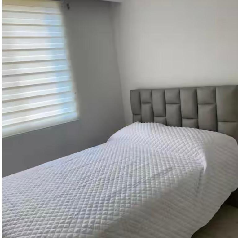 Elit - One-Bedroom Apartment - 5