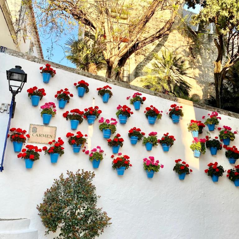 Marbella Beachfront Studio - EaW Homes - Apartamento de 1 dormitorio - 24