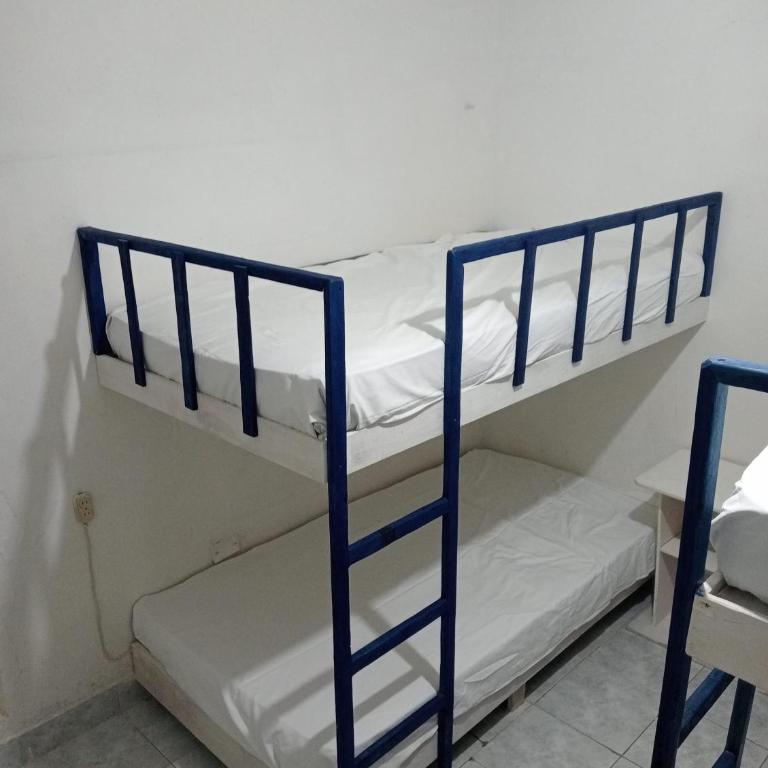 Rhinos House - Apartamento de 1 dormitorio - 1