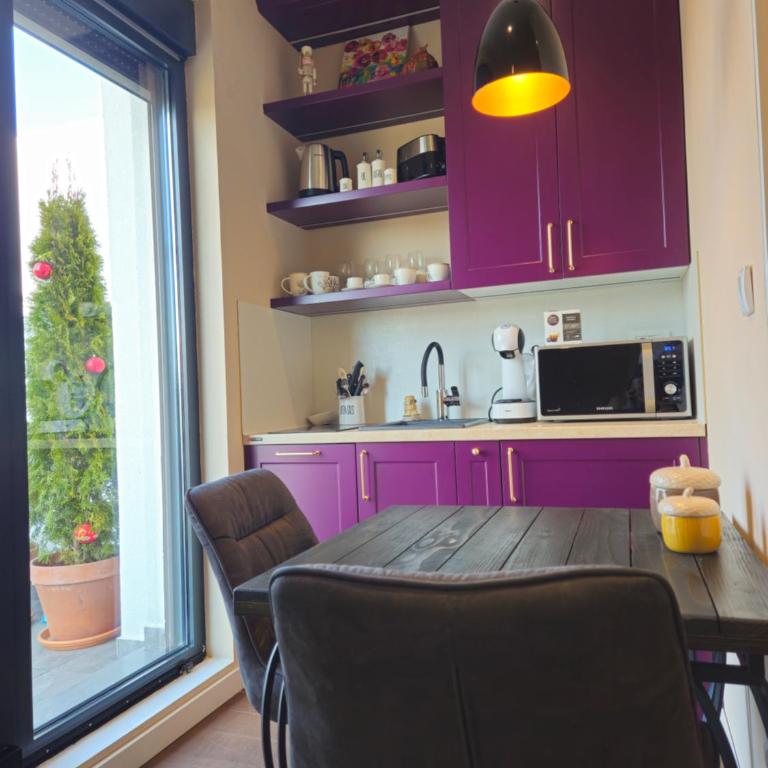 Sky Terrace Belgrade - Apartman sa 2 Spavaće Sobe - 16