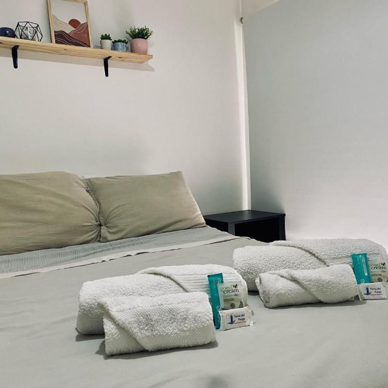 Sur Alojamiento Ushuaia - Apartamento de 1 dormitorio con balcón - 14