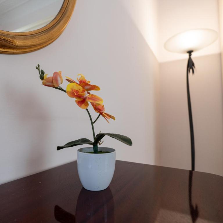 Villa Alessandra- Comfort e spazio a Napoli - Casa con 4 camere da letto - 36