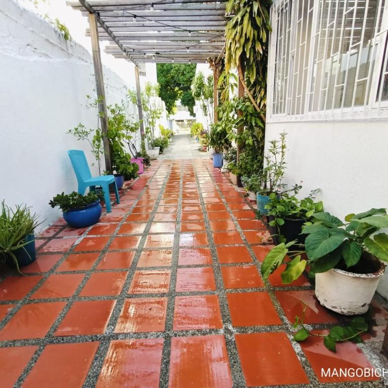 MANGO BiCHE - HOUSE - Standard Apartment - 3