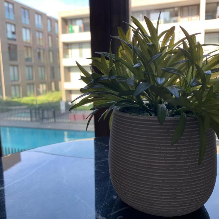 Distrito Yungay Suites - Estudio con cama extragrande - 2
