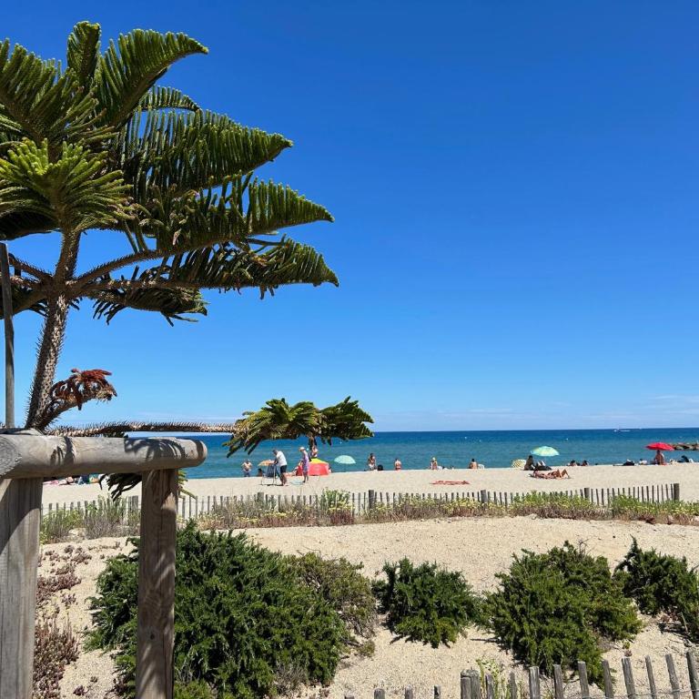 T2 Traversant Saint-Cyprien Climatisé 4/5 Pers - FR-1-793-33 - Apartment - 19