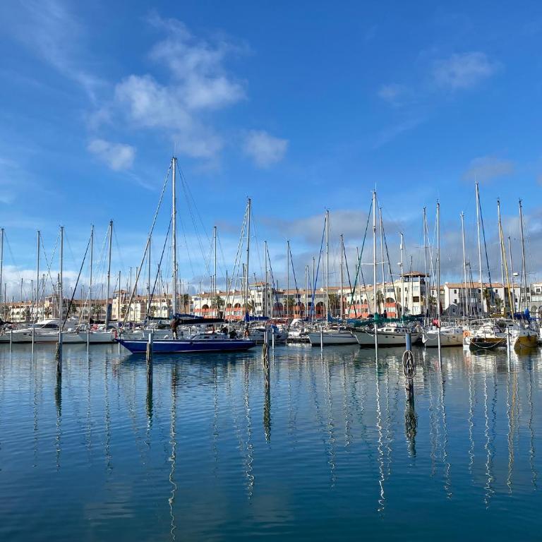 T2 climatisé avec parking, Port Leucate, 4 pers - FR-1-798-55 - Apartment - 13